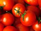 tomatoes.jpg